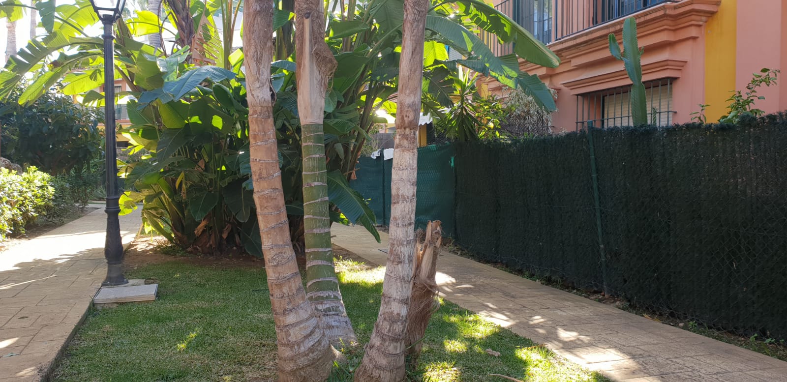 Se alquila apartamento de 2 habitaciones en El Paraiso - mibgroup.es