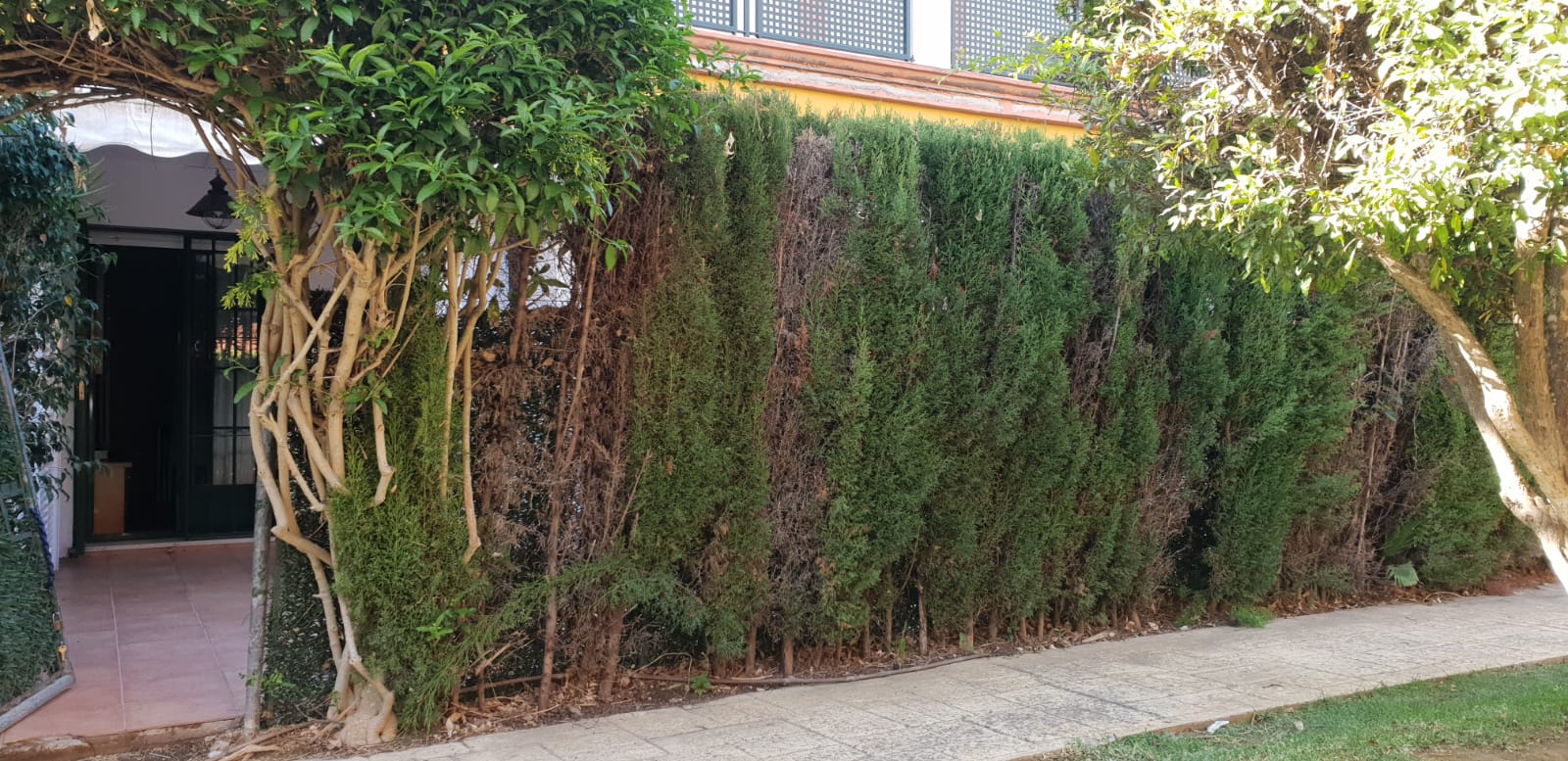 Se alquila apartamento de 2 habitaciones en El Paraiso - mibgroup.es