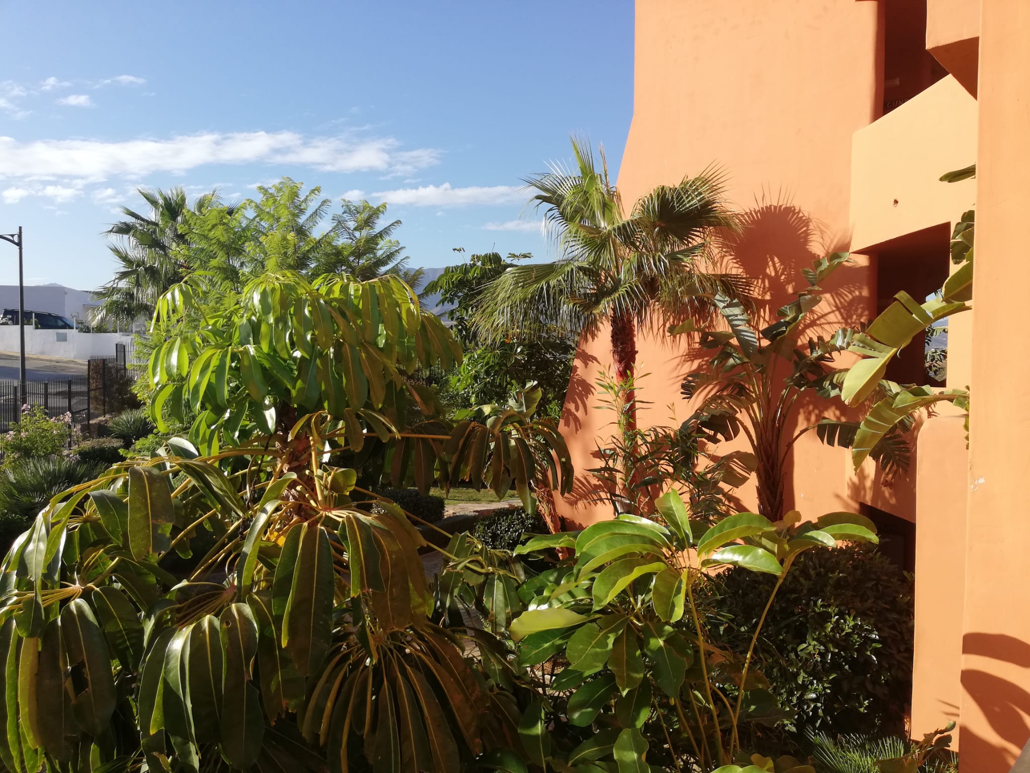 2 bedroom apartment for rent in Estepona 200 meters from the beach - thumb - mibgroup.es