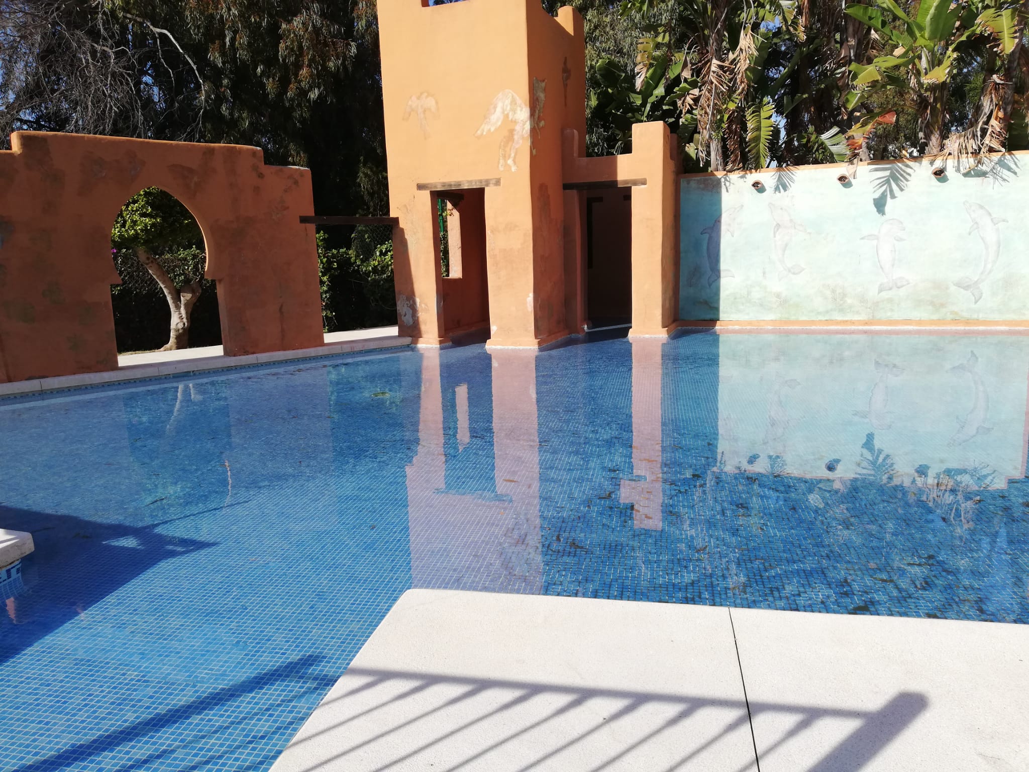 Estudio en alquiler cerca del mar en Cancelada - mibgroup.es