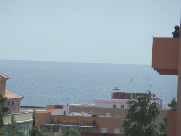 Apartment for rent in Avenida Puerta del Mar, Puerto - Plaza de Toros, Estepona - mibgroup.es
