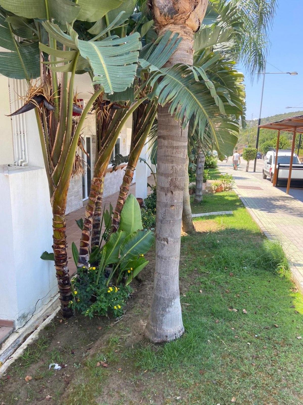 Просторный дуплекс в Valle Romano на гольф-поле Эстепоны - mibgroup.es