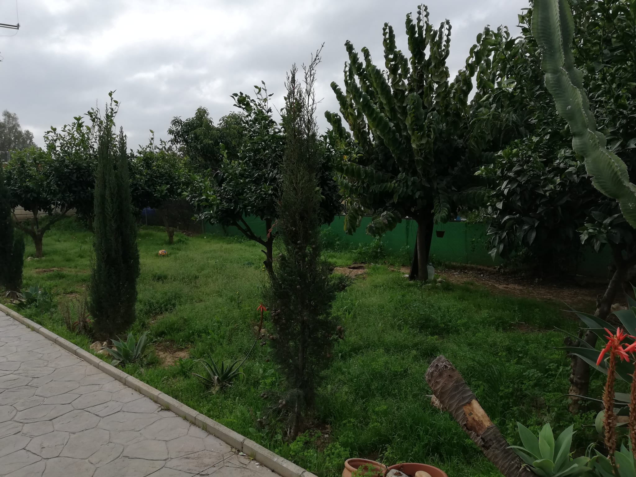 Casa de 2 habitaciones en alquiler en Mijas golf - mibgroup.es