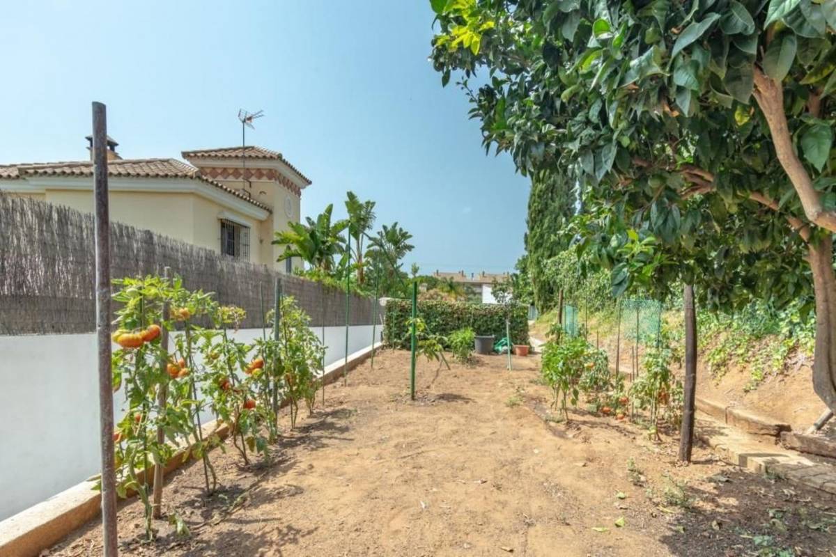 Одноэтажная 3 спальная вилла в Эль Росарио - mibgroup.es