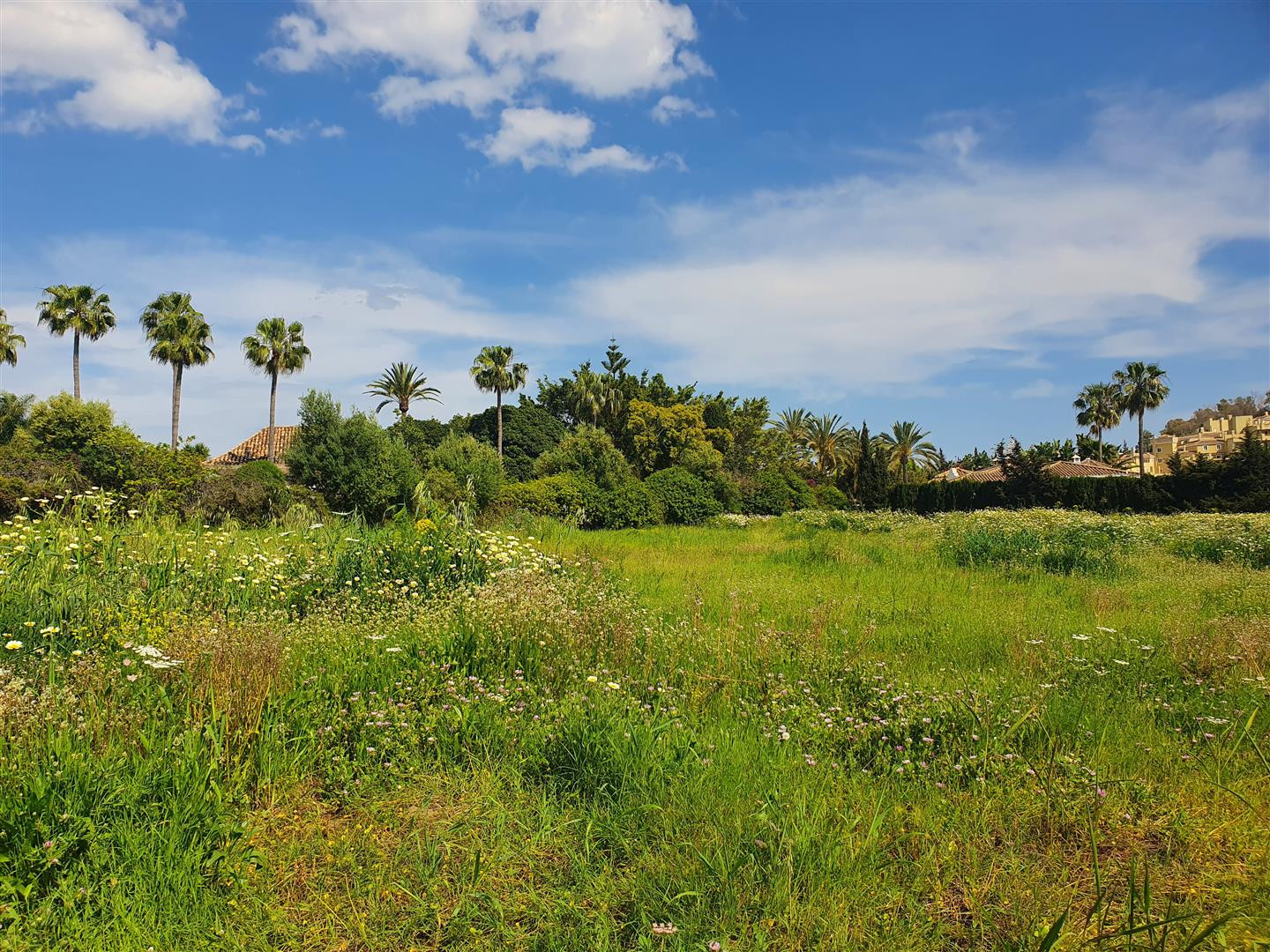 Land for the construction of 2 villas in Nueva Andalucia - mibgroup.es