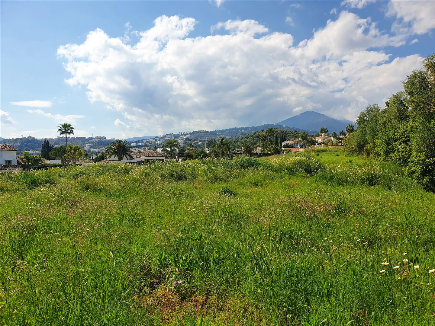 Terreno para la construcción de 2 villas en Nueva Andalucía - mibgroup.es