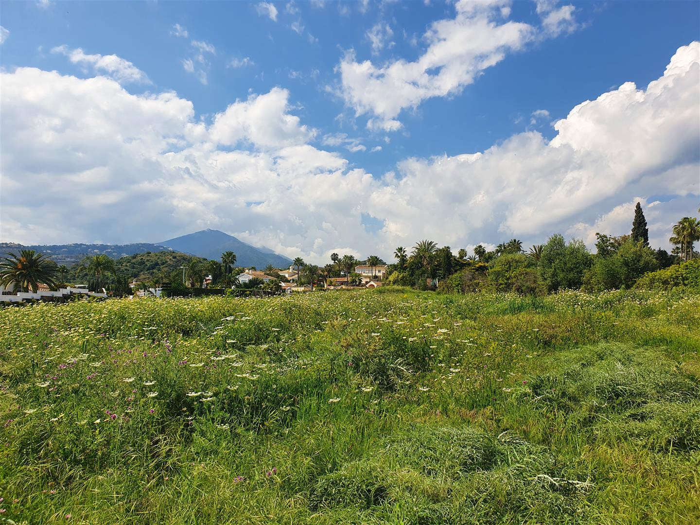Terreno para la construcción de 2 villas en Nueva Andalucía - mibgroup.es