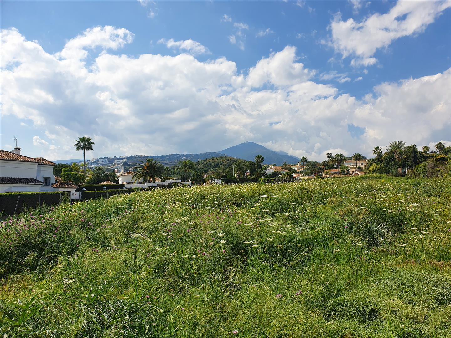 Terreno para la construcción de 2 villas en Nueva Andalucía - mibgroup.es