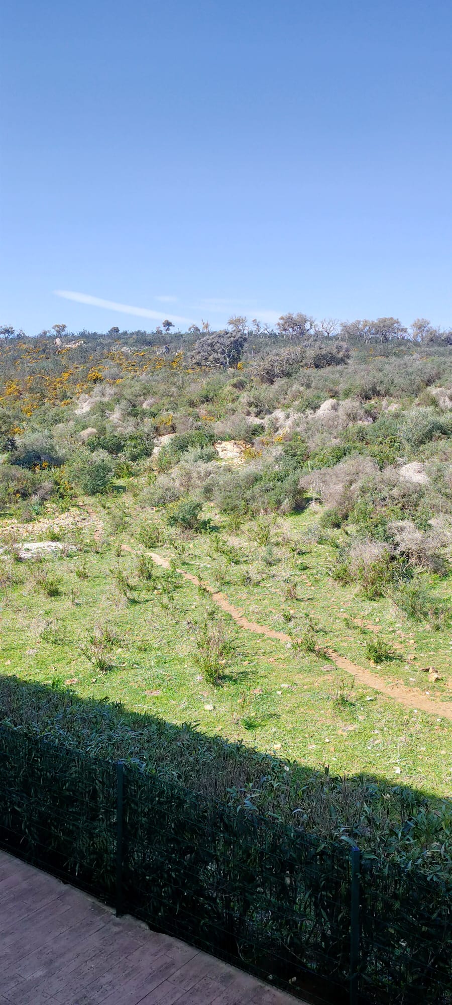 Casa en Manilva de 3 dormitorios en alquiler larga temporada - mibgroup.es