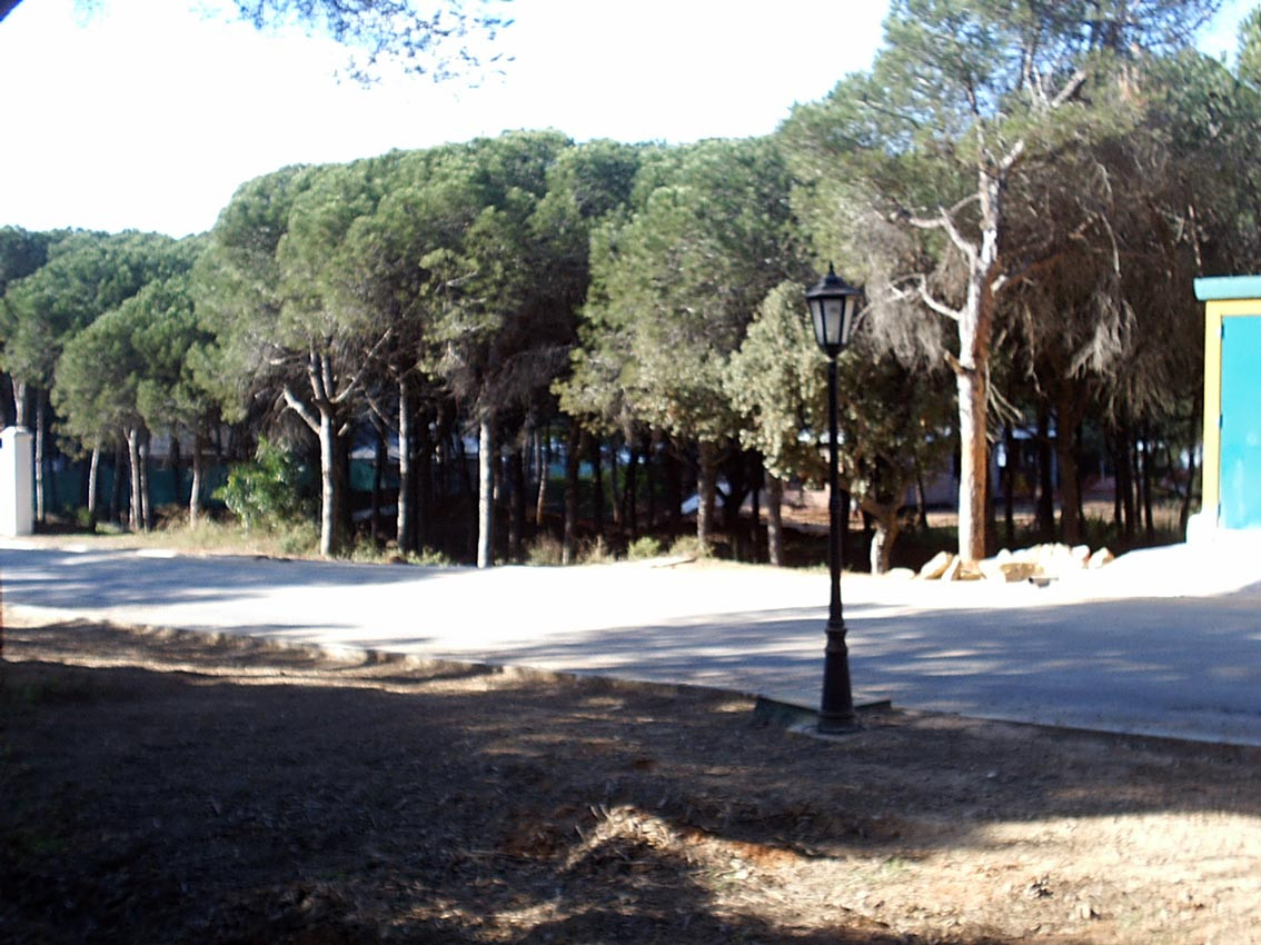 Land in Las Chapas - mibgroup.es