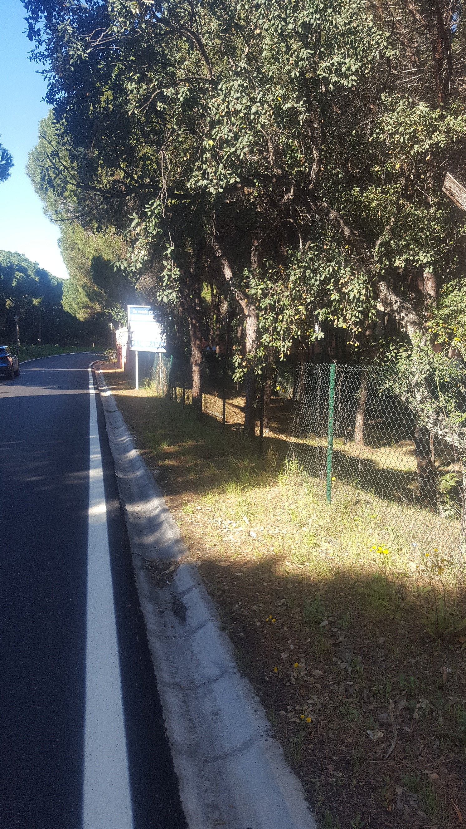 Land in Las Chapas - mibgroup.es