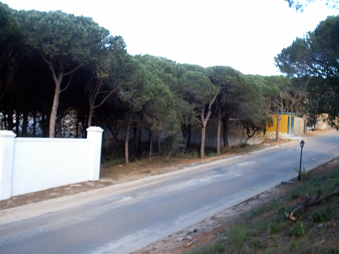 Land in Las Chapas - mibgroup.es