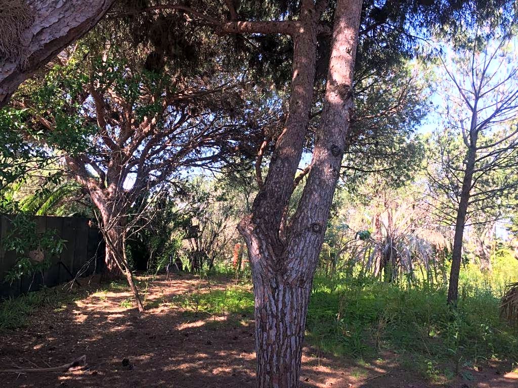 Земельный участок в Лас Чапас - mibgroup.es