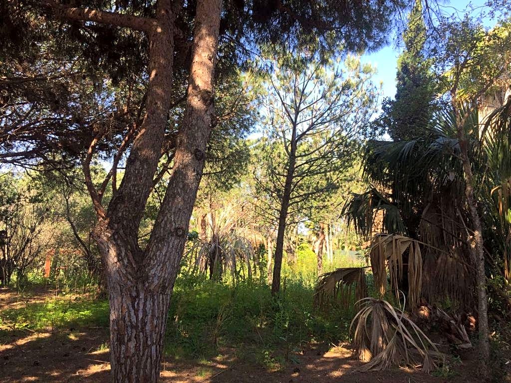 Земельный участок в Лас Чапас - mibgroup.es