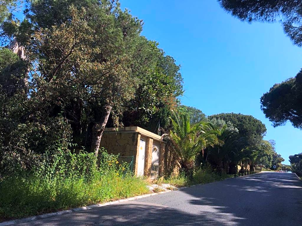 Земельный участок в Лас Чапас - mibgroup.es