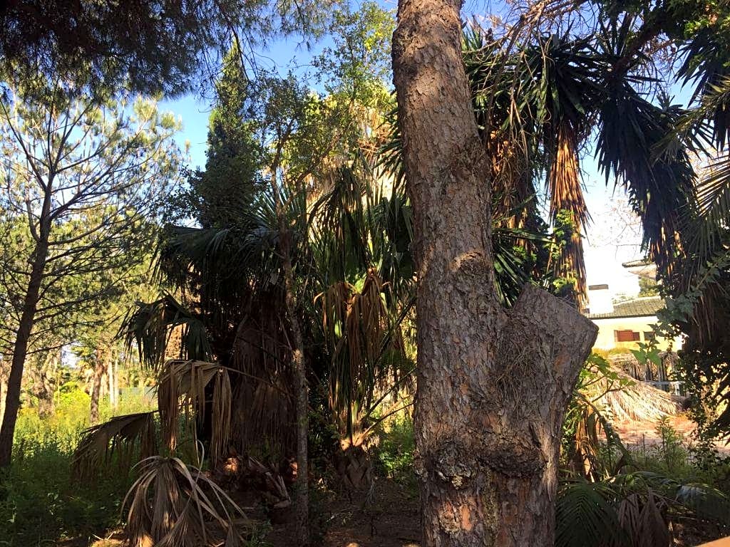 Земельный участок в Лас Чапас - mibgroup.es