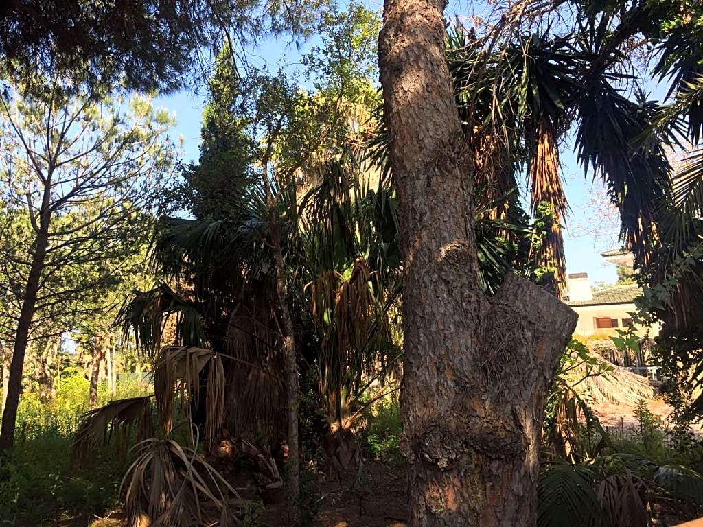 Земельный участок в Лас Чапас - mibgroup.es