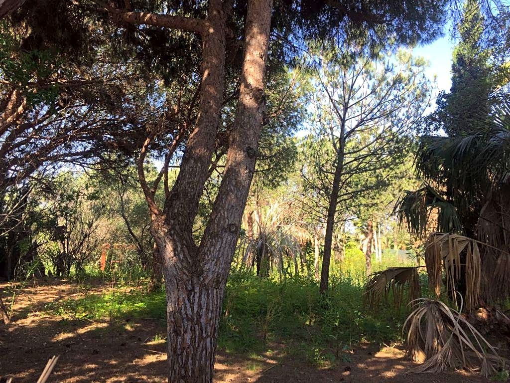 Земельный участок в Лас Чапас - mibgroup.es