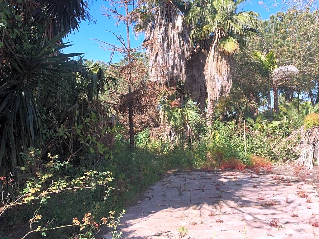 Земельный участок в Лас Чапас - mibgroup.es