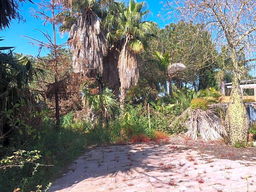 Land in Las Chapas - mibgroup.es