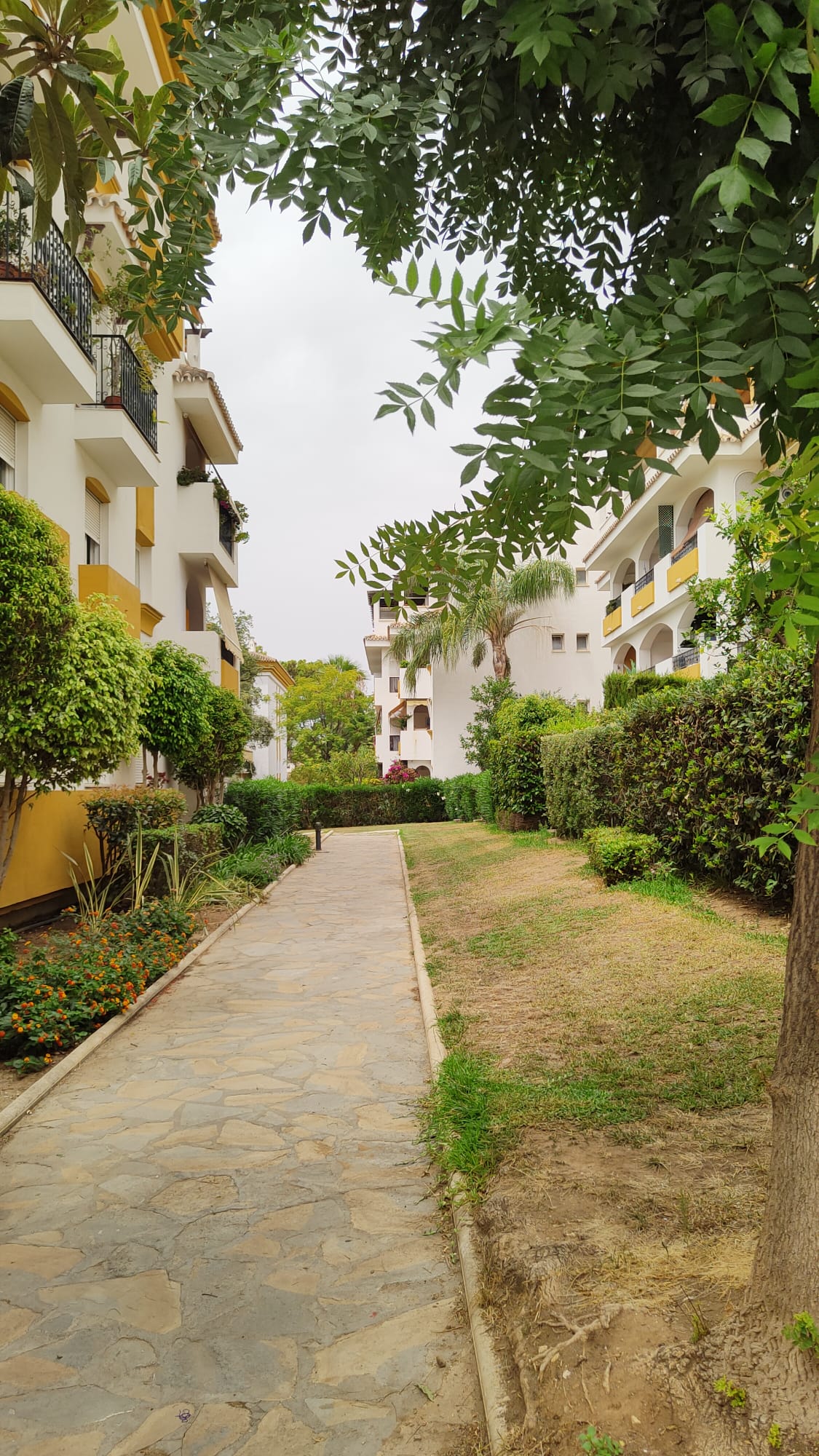 The apartment in the golden mile - mibgroup.es