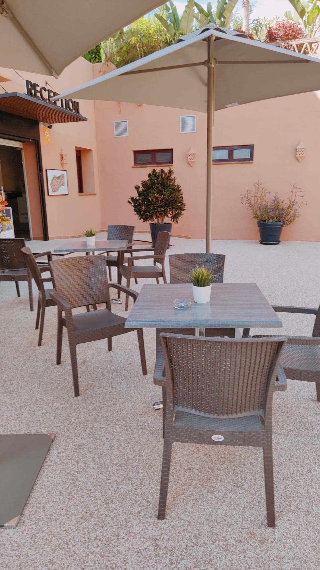 Se vende apartamento de 1 dormitorio en El Paraíso con piscina y gimnasio - mibgroup.es